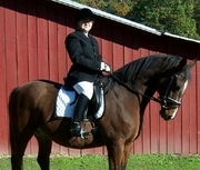 Julie N. Books Riding Dragon in Fall