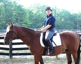 Julie N. Books Riding Dragon in Summer
