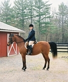 Julie N. Books Riding Journey