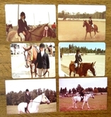 Julie N. Books Winning Ribbons in Horse Shows at Woodlawn Stables