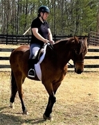 Julie N. Books Riding Teddy Bear