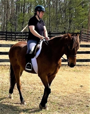 Julie N. Books Riding Teddy Bear